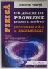 Fizica: Culegere Probleme Rezolvate Clasa X &amp; Bac - Mihaela Chiriță, 2016, Tamar, 389pg, Copertă Broșată - Matematică &amp; Știință