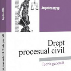 Drept procesual civil. Teoria generala - Angelica Rosu