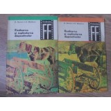 REALIZAREA SI EXPLOATAREA DIAPOZITIVELOR VOL.1-2-D. MOROZAN, FL. MIHAILESCU-233485