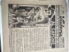 Lot 10 romane in fascicole descomplectate