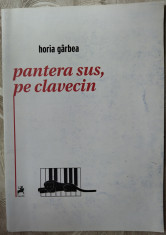 HORIA GARBEA - PANTERA SUS, PE CLAVECIN (VERSURI, 2011) [pref. DAN CRISTEA] foto