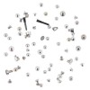 Suruburi iPhone 12 Pro Max, Complete Set Screws and Bolts (Random Color Delivery)
