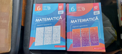 MATEMATICA ALGEBRA GEOMETRIE CLASA A VI A PARTEA I SI II MARIA ZAHARIA foto