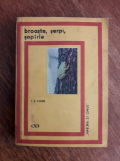 Broaste, serpi, soparle - I. E. Fuhn / C22P foto