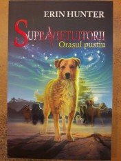 Orasul pustiu. Supravietuitorii 1 foto