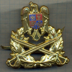 Y 1524 INSIGNA-MILITARA-EMBLEMA COIFURA- TRUPELE DE USCAT -PENTRU COLECTIONARI