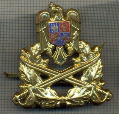 Y 1524 INSIGNA-MILITARA-EMBLEMA COIFURA- TRUPELE DE USCAT -PENTRU COLECTIONARI foto