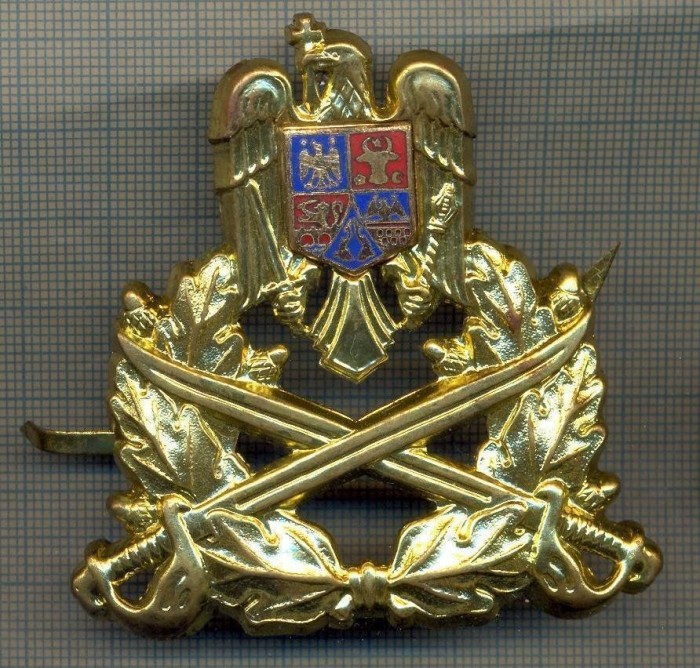 Y 1524 INSIGNA-MILITARA-EMBLEMA COIFURA- TRUPELE DE USCAT -PENTRU COLECTIONARI