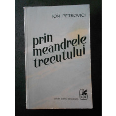 ION PETROVICI - PRIN MEANDRELE TRECUTULUI