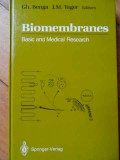 Biomembranes Basic And Medical Research - Gh. Benga, J. M. Tager ,521273
