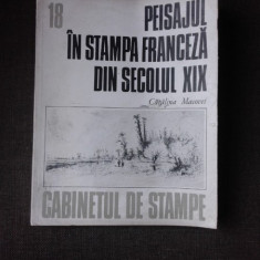 PEISAJUL IN STAMPA FRANCEZA DIN SECOLUL XIX - CATALINA MACOVEI (CABINETUL DE STAMPE 18)