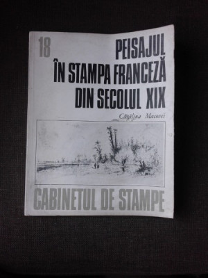 PEISAJUL IN STAMPA FRANCEZA DIN SECOLUL XIX - CATALINA MACOVEI (CABINETUL DE STAMPE 18) foto