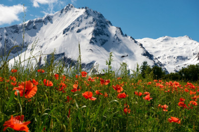 Fototapet de perete autoadeziv si lavabil Natura122, 400 x 250 cm foto