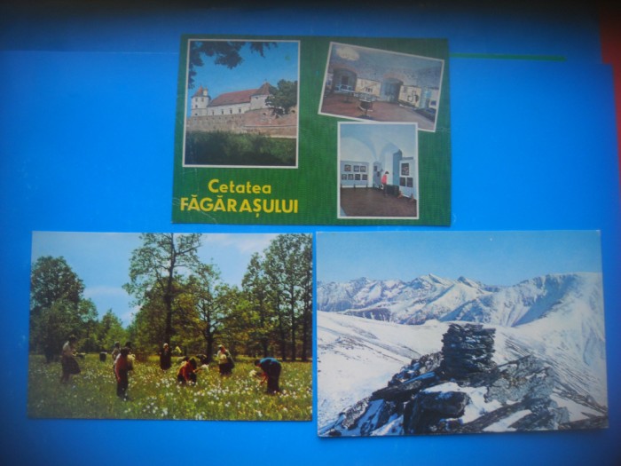 HOPCT LOT 3540 -3 CARTI POSTALE-FAGARAS-JUD-BRASOV-NECIRCULATE