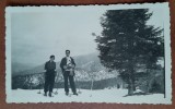 Fotografie, familia Litarczek la schi la Predeal, 1934