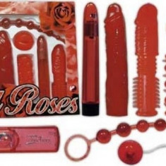 Set complet jucarii sexuale Red Roses