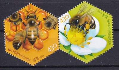 COREEA DE SUD 2023 FAUNA INSECTE ALBINE foto