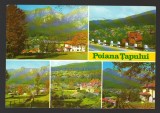 CPIB 19329 CARTE POSTALA - POIANA TAPULUI, MOZAIC, Circulata, Fotografie