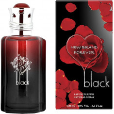 Parfum New Brand Forever Black 100ml EDP foto