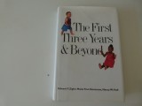 The first three years &amp; beyond