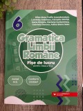 Gramatica limbii rom&acirc;ne. Fișe de lucru pentru clasa a VI-a