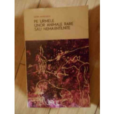 Pe Urmele Unor Animale Rare Sau Nemaintilnite - Igor Akimuskin ,539234