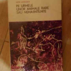 Pe Urmele Unor Animale Rare Sau Nemaintilnite - Igor Akimuskin ,539234