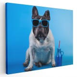 Tablou Caine Bulldog Francez cu Ochelari Tablou canvas pe panza CU RAMA 60x90 cm