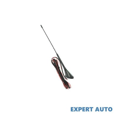 Antena auto radio universala yj0010 Alta marca Alt model #7 foto