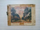 ALBUMUL CONCURSULUI DE FRUMUSETE DIN ANUL 1930 - Intre Sinaia si Galveston - 64p