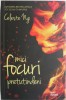 Mici focuri pretutindeni - Celeste Ng - Carte (Noua/Anticariat) - Stare Buna/Foarte Buna
