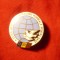 Insigna RPR A Zecea Aniversare a Miscarii Mondiale pt.Pace