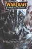 Warcraft: The Sunwell Trilogy #2: Shadows of Ice - Fantasy Novel - Kalec &amp; Anveena Quest - High Elven Kingdom