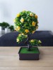 Bonsai artificial cu flori galbene, Oem
