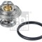 FEBI BILSTEIN 09672 termostat,lichid racire