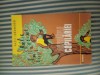 Fazil Iskander Arborele copilariei, Junimea