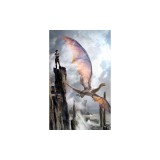 The Harper Hall Trilogy: Dragonsong; Dragonsinger; Dragondrums