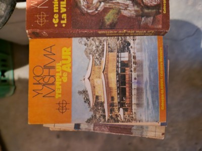 Templul de aur vintage foto