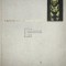 Peter Buck - Vikingii de la soare rasare (Editia: 1969)