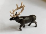 bnk jc Kinder 2021 - Natoons North America - White-tailed deer - VU344