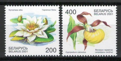 Belarus 2001 Mi 407/08 MNH - Plante pe cale de disparitie: Flori foto