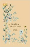Tanara cersetoare - Alice Munro