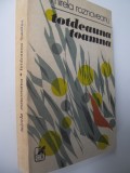 Totdeauna toamna - Mirela Roznoveanu