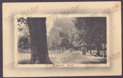 3519 - CLUJ, Park, Romania - old postcard - used - 1912 foto
