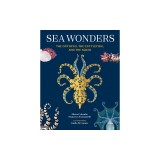 Sea Wonders: The Octopus, the Cuttlefish, and the Squid