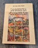 Sanatatea Carpatilor farmacia din camara Emil Paun