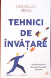 Tehnici de Invatare - Georgiana Gerea, Curtea Veche, 2021, Psihologie, 250 Pagini
