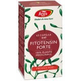 Fitotensin Forte 63cps Fares
