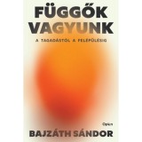 F&uuml;ggők vagyunk - A tagad&aacute;st&oacute;l a fel&eacute;p&uuml;l&eacute;sig - Bajz&aacute;th S&aacute;ndor