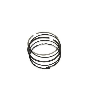 Set segmenti compresor SM Knorr Westinghouse foto